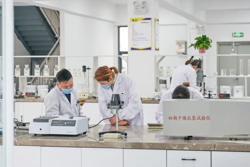 北方仿石漆龍頭 以技術(shù)筑基，筑價(jià)值壁壘